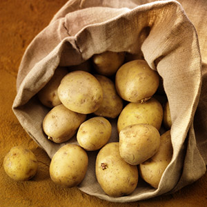 посадка картофеля