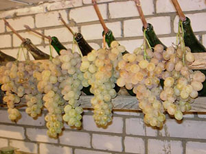 хранение винограда на зеленых гребнях