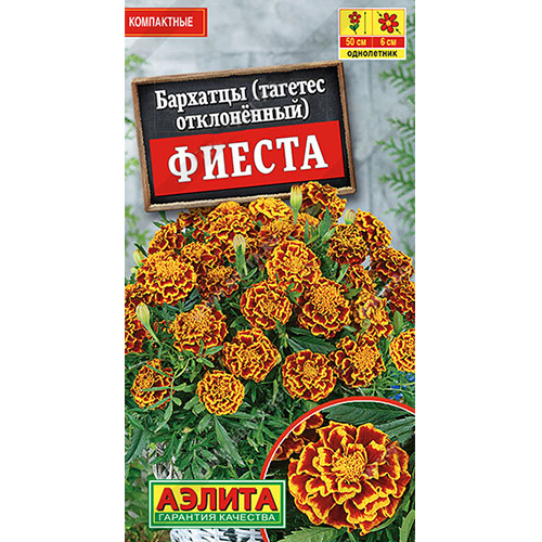 Бархатцы фиеста. Бархатцы. Семена бархотка картинки для детей с названиями.
