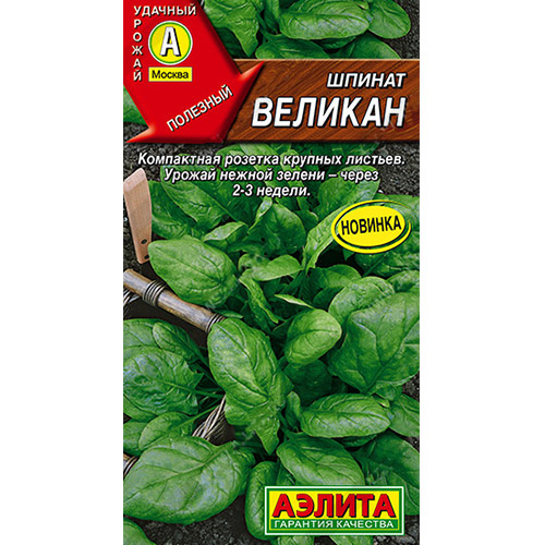 Шпинат Великан Аэлита (98802): купить семена почтой в Казахстане